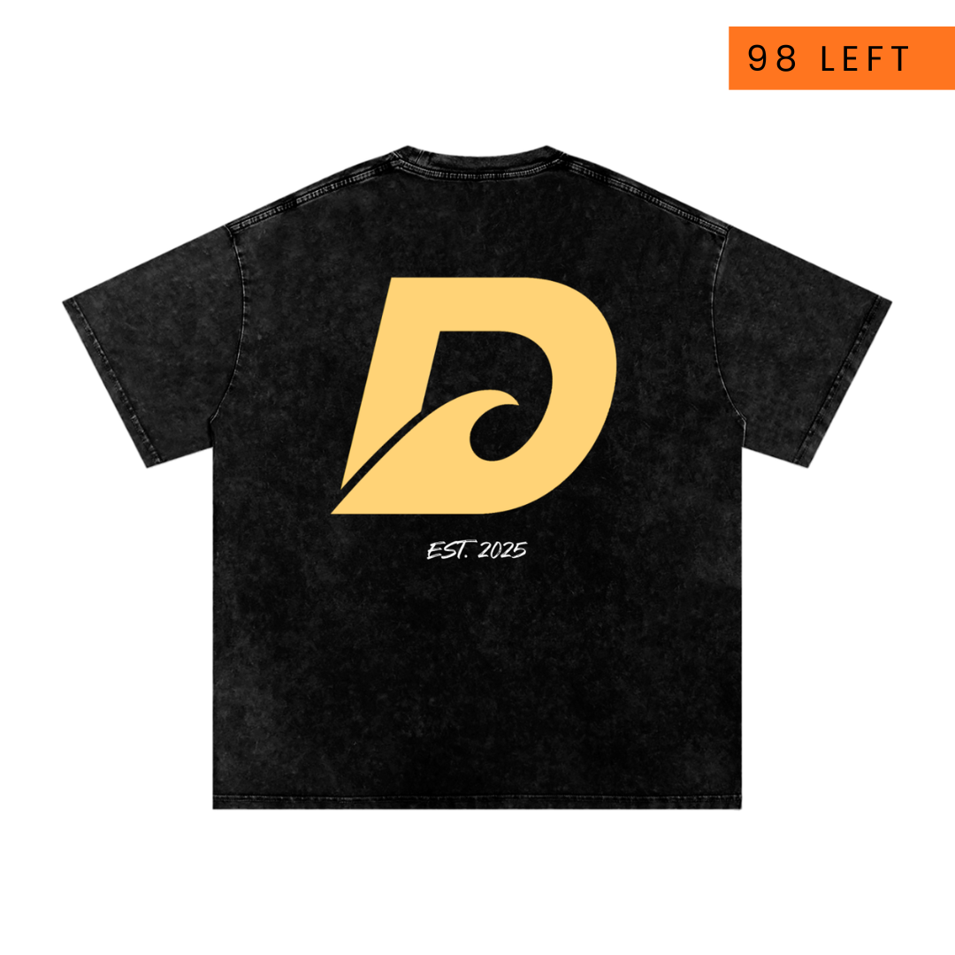 Limited Edition Washed Tee | V1