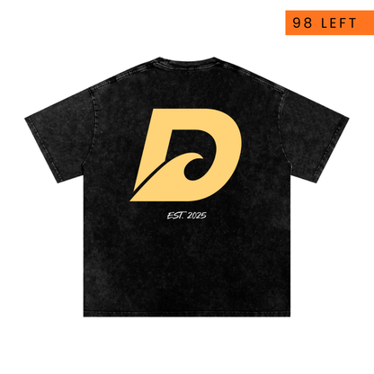 Limited Edition Washed Tee | V1